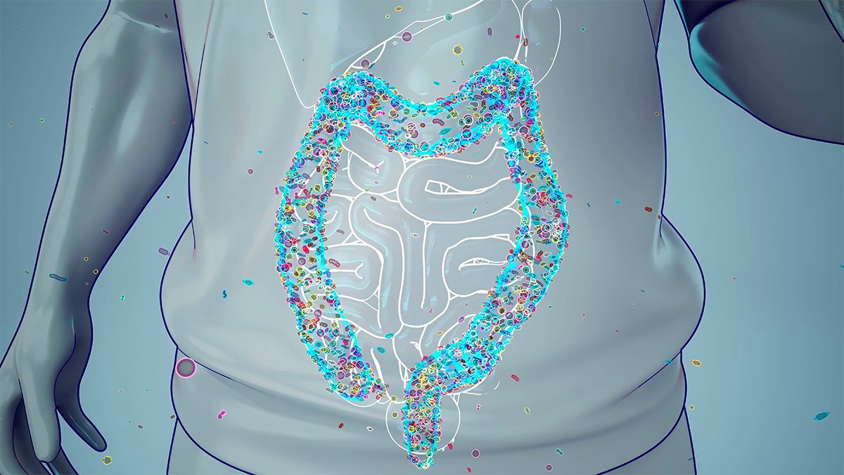 Microbiota intestinal